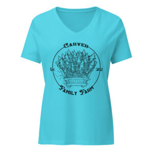 Carver relaxed v-neck t-shirt